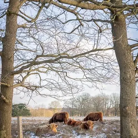 Leva - Logeren In Drenthe Villa Doldersum Exterior photo