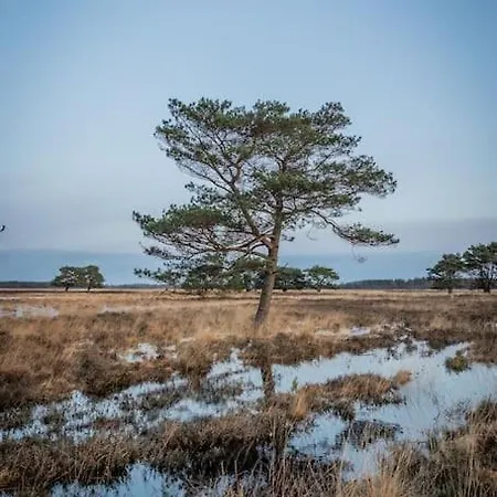 Leva - Logeren In Drenthe Villa Doldersum Exterior photo