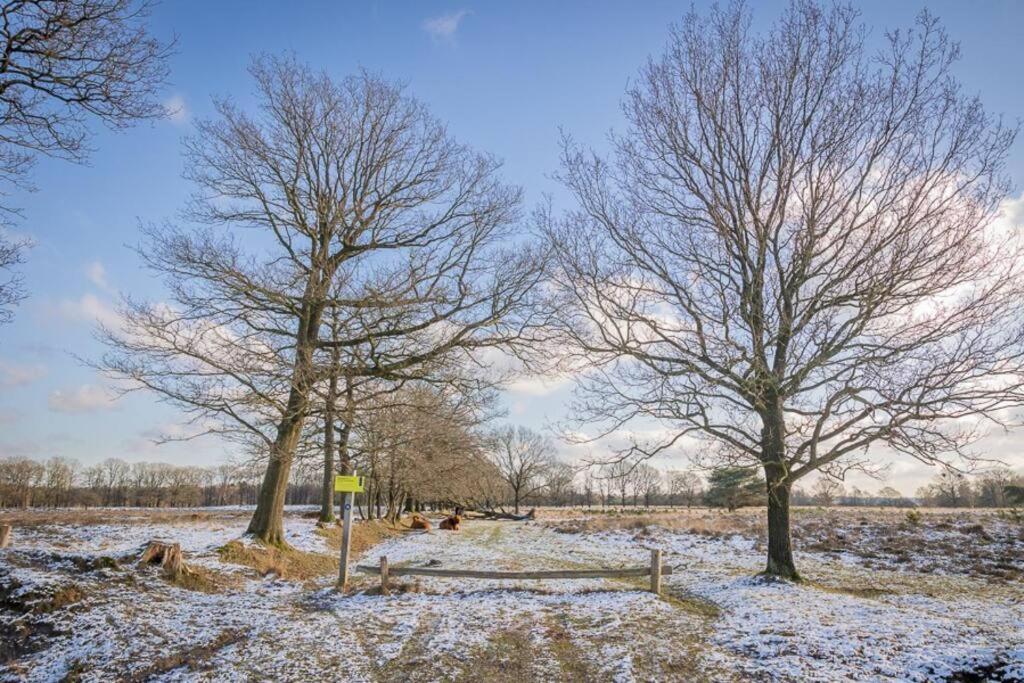 Holiday home Leva - Logeren In Drenthe