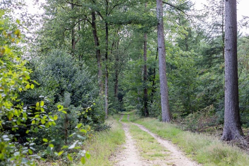 Leva - Logeren In Drenthe *