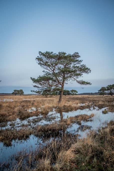 Leva - Logeren In Drenthe Holiday home Doldersum
