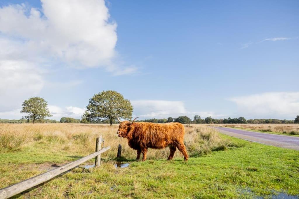 Leva - Logeren In Drenthe Holiday home *